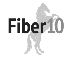 FIBER 10 trademark