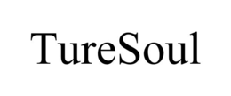TURESOUL trademark