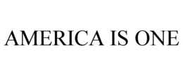 AMERICA IS ONE trademark