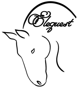 ELEQUEST trademark