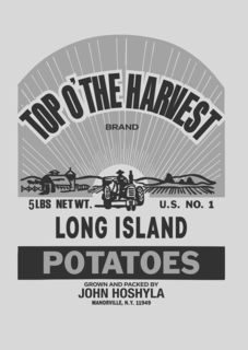 TOP O’THE HARVEST BRAND 5LBS NET WT. U.S. NO. 1 LONG ISLAND POTATOES GROWN AND PACKED BY JOHN HOSHYLA MANORVILLE, N.Y. 11949 trademark