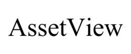 ASSETVIEW trademark
