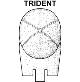 TRIDENT trademark