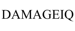 DAMAGEIQ trademark