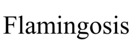 FLAMINGOSIS trademark
