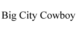 BIG CITY COWBOY trademark