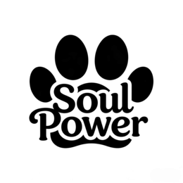 SOUL POWER trademark