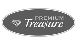 PREMIUM TREASURE trademark