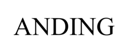 ANDING trademark