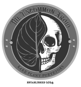 THE UNCOMMON AROID RARE PLANT PURVEYORS ESTABLISHED 2024 trademark