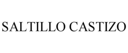 SALTILLO CASTIZO trademark