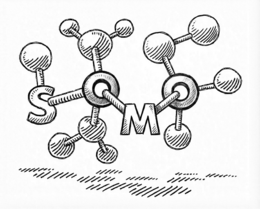 SOMO trademark