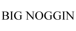 BIG NOGGIN trademark