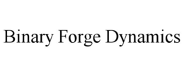 BINARY FORGE DYNAMICS trademark