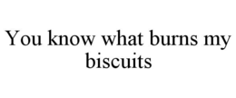 YOU KNOW WHAT BURNS MY BISCUITS trademark