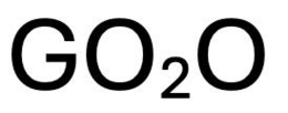 GO2O trademark