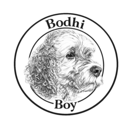 BODHI BOY trademark