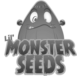 LIL' MONSTER SEEDS trademark