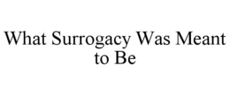 WHAT SURROGACY WAS MEANT TO BE trademark