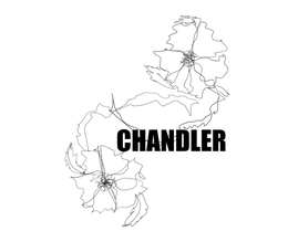 CHANDLER trademark