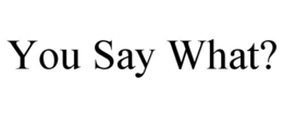 YOU SAY WHAT? trademark