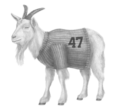 47 trademark