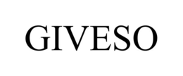 GIVESO trademark