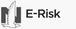N E-RISK trademark