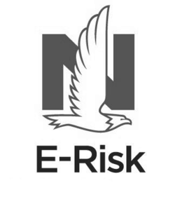 N E-RISK trademark