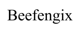 BEEFENGIX trademark