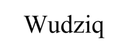WUDZIQ trademark