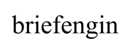BRIEFENGIN trademark