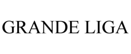 GRANDE LIGA trademark