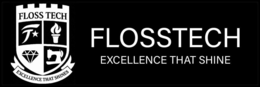 FLOSS TECH EXCELLENCE THAT SHINES FLOSSTECH EXCELLENCE THAT SHINE trademark