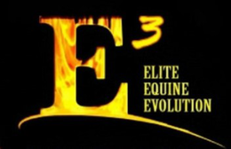 E3 ELITE EQUINE EVOLUTION trademark