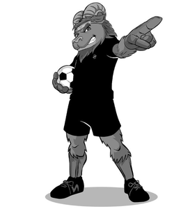 SWITCHBACKS FC trademark