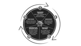 S T E ER: STAY CALM |TALK WITH REQUEST | EMPATHIZE | EVALUATE THE RISK |  REDIRECT OR REQUEST HELP trademark