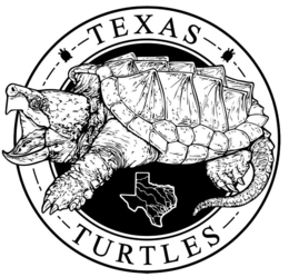 TEXAS TURTLES trademark