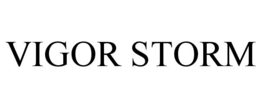 VIGOR STORM trademark