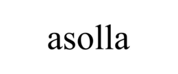 ASOLLA trademark