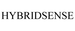 HYBRIDSENSE trademark