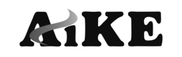 AIKE trademark