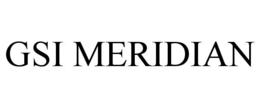 GSI MERIDIAN trademark