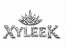 XYLEEK trademark