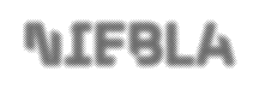 NIEBLA trademark