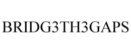 BRIDG3TH3GAPS trademark