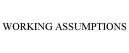 WORKING ASSUMPTIONS trademark