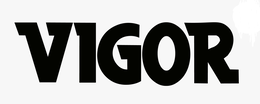VIGOR trademark