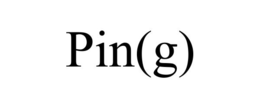 PIN(G) trademark