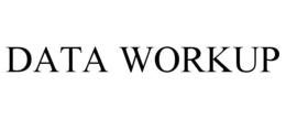 DATA WORKUP trademark